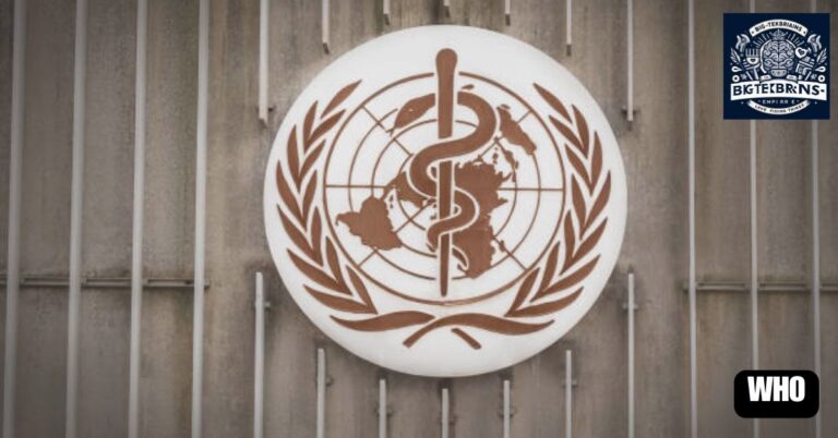 World Health Organization (WHO)