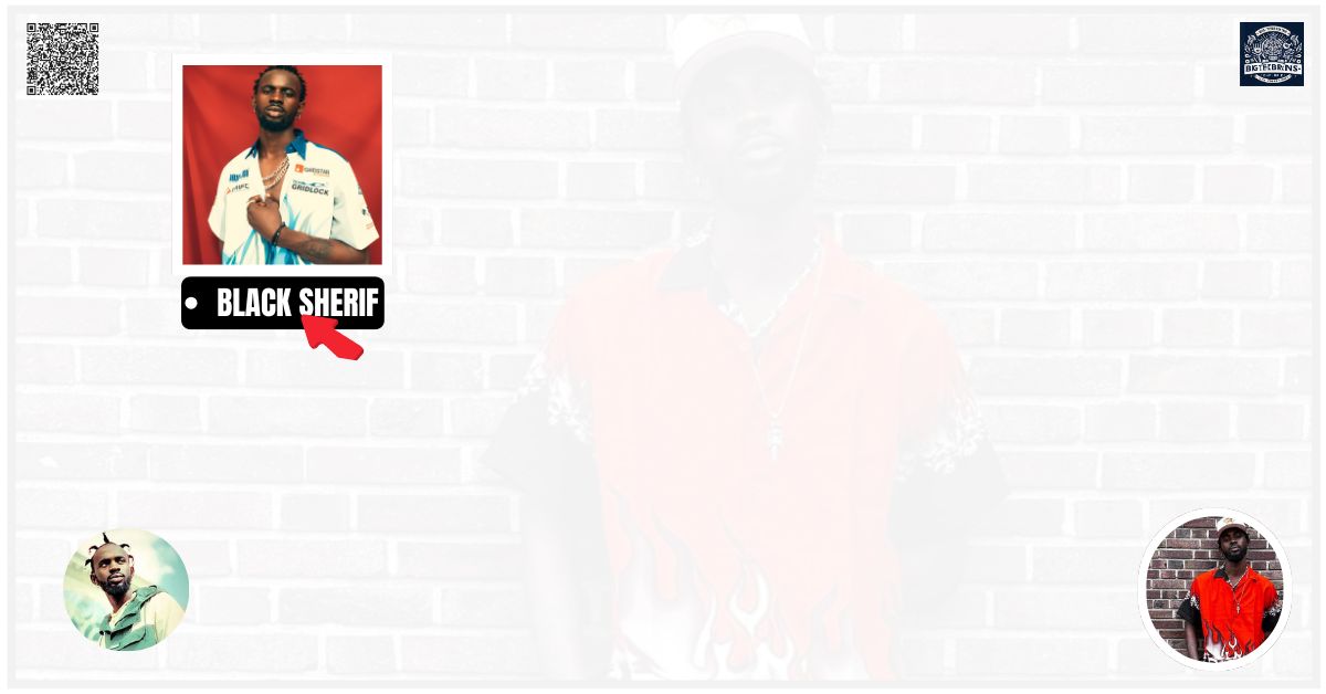 Black Sherif Potfolio